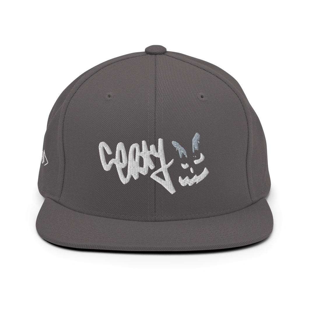 BADBOY Certy | GREY SNAPBACK